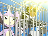 Aipom