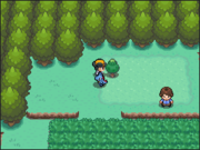 Localización del bonguri verde en la ruta 29 Pokémon Oro HeartGold y Plata SoulSilver.