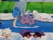 EP240 Pokémon del gimnasio descansando.png