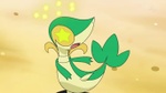 EP670 Snivy confusa.jpg