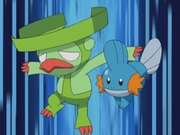 EP340 Lombre y Mudkip.png