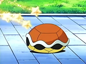 Squirtle de May/Squirtle de Aura usando Refugio.