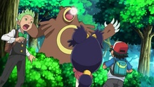 Ursaring
