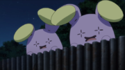EP1111 Whismur.png