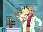 Meowth