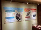 Una exhibición de Relicanth