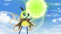 Ribombee de Mencía usando bola de polen (curativa).
