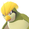 Icono de Pidgeotto variocolor en Leyendas Pokémon: Z-A