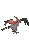 Imagen posterior de Talonflame en Pokémon X, Pokémon Y, Pokémon Rubí Omega, Pokémon Zafiro Alfa, Pokémon Sol, Pokémon Luna, Pokémon Ultrasol y Pokémon Ultraluna