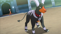 Imagen de Houndoom