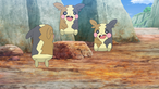 Morpeko