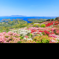 Fondo de Nagasaki