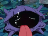 Shellder