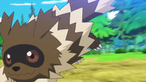 Zigzagoon
