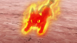 Torracat de Ash usando Carga de Fuego/Nitrocarga.