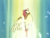 Pidgeotto