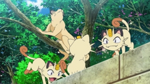 Meowth