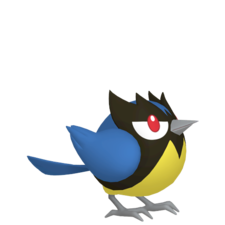 Rookidee macho