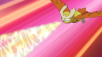 Noctowl de Ash usando extrasensorial/paranormal.