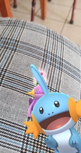 Mudkip en las fotos/instantáneas
