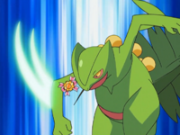 Sceptile de Ash usando hoja aguda.