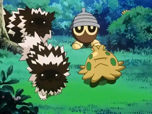 Imagen de Zigzagoon