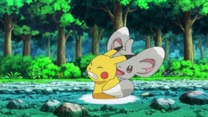 Minccino usando cosquillas.