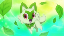 Sprigatito