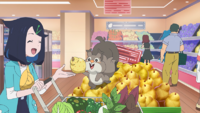 Liko comprando bayas Zidra en un supermercado.