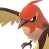 Icono de Fletchinder variocolor en Leyendas Pokémon: Z-A