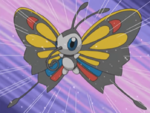 Beautifly de May/Aura