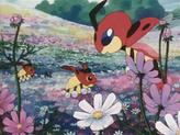 Ledyba