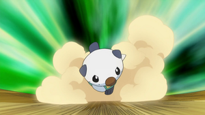 Oshawott usando placaje.
