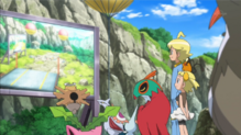 Skarmory