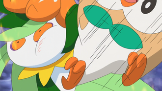 Rowlet usando placaje.
