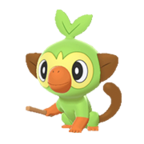 Grookey