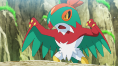 Hawlucha de Ash