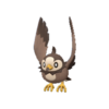 Starly EP variocolor hembra.png