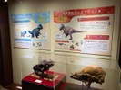 Una exhibición de Cranidos y Rampardos