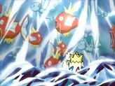 Wooper