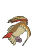 Imagen posterior de Pidgeot en Pokémon X, Pokémon Y, Pokémon Rubí Omega, Pokémon Zafiro Alfa, Pokémon Sol, Pokémon Luna, Pokémon Ultrasol y Pokémon Ultraluna