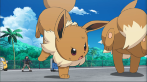 Eevee de Severino usando Derribo.