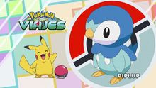 Piplup.