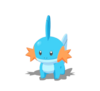 Mudkip