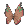 Vivillon isleño