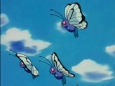Butterfree