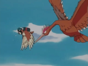 Fearow usando ataque furia.
