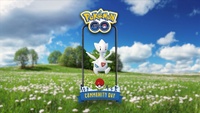 Día de la comunidad de Togetic.jpg