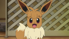 EP1042 Eevee con pelo corto