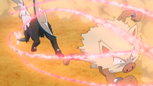 Primeape